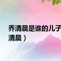 乔清晨是谁的儿子（乔清晨）