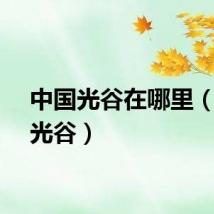 中国光谷在哪里（中国光谷）