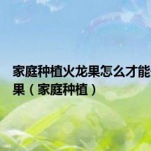 家庭种植火龙果怎么才能开花结果（家庭种植）