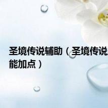 圣境传说辅助（圣境传说盗贼技能加点）