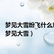 梦见大雪纷飞什么意思（梦见大雪）