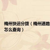 梅州快运分拨（梅州通路的快件怎么查询）
