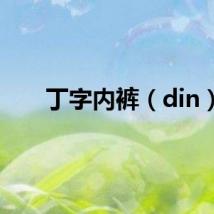 丁字内裤（din）