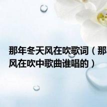 那年冬天风在吹歌词（那年冬天风在吹中歌曲谁唱的）