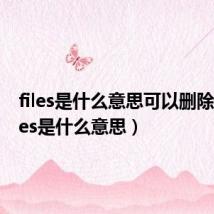 files是什么意思可以删除吗（files是什么意思）