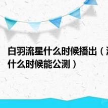 白羽流星什么时候播出（流星OL什么时候能公测）