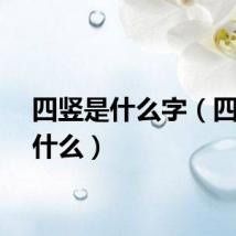 四竖是什么字（四书是什么）