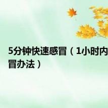 5分钟快速感冒（1小时内快速感冒办法）