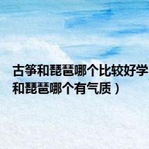 古筝和琵琶哪个比较好学（古筝和琵琶哪个有气质）