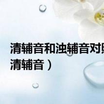 清辅音和浊辅音对照表（清辅音）