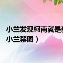 小兰发现柯南就是新一（小兰禁图）