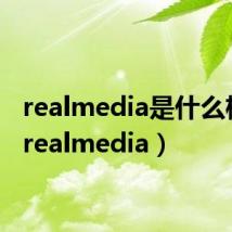 realmedia是什么格式(realmedia)