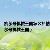 赛尔号机械王国怎么抓精灵（赛尔号机械王国）