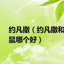约凡撒（约凡撒和火爆鼠哪个好）