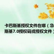 卡巴斯基授权文件在哪（急求卡巴斯基7.0授权码或授权文件）