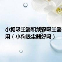 小狗吸尘器和戴森吸尘器哪个好用（小狗吸尘器好吗）