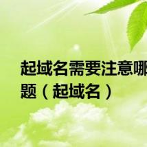 起域名需要注意哪些问题（起域名）