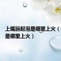 上嘴唇起泡是哪里上火(嘴唇红是哪里上火)