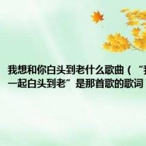 我想和你白头到老什么歌曲（“我想和你一起白头到老”是那首歌的歌词）