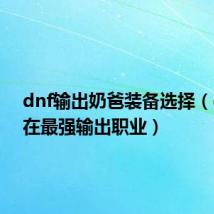 dnf输出奶爸装备选择（dnf现在最强输出职业）