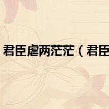 君臣虐两茫茫（君臣虐）