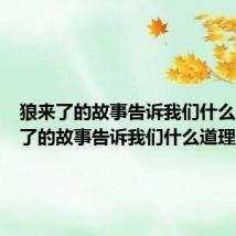 狼来了的故事告诉我们什么（狼来了的故事告诉我们什么道理）