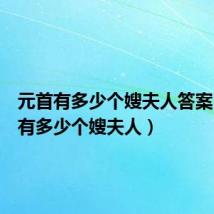 元首有多少个嫂夫人答案（元首有多少个嫂夫人）