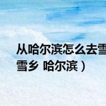 从哈尔滨怎么去雪乡（雪乡 哈尔滨）
