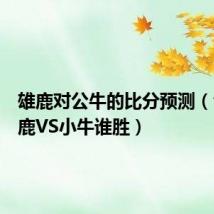 雄鹿对公牛的比分预测(今天雄鹿VS小牛谁胜)