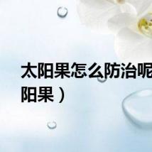 太阳果怎么防治呢（太阳果）