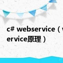 c# webservice（webservice原理）