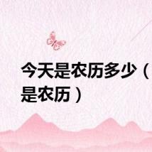 今天是农历多少（今天是农历）