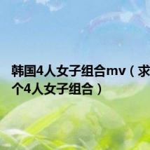 韩国4人女子组合mv（求韩国一个4人女子组合）