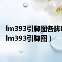 lm393引脚图各脚电压(lm393引脚图)