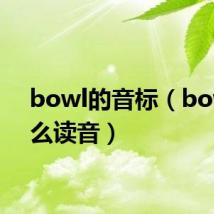 bowl的音标(bowl怎么读音)