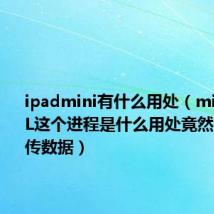 ipadmini有什么用处（miniQQDL这个进程是什么用处竟然不停的上传数据）