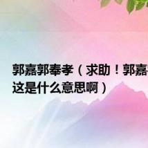 郭嘉郭奉孝（求助！郭嘉字奉孝这是什么意思啊）