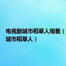 电视剧城市稻草人观看（电视剧城市稻草人）