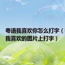 粤语我喜欢你怎么打字（我想在我喜欢的图片上打字）