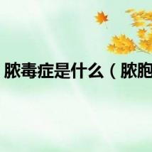 脓毒症是什么（脓胞疮）