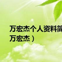 万宏杰个人资料简介（万宏杰）