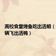 高校食堂烤鱼吃出活蛆（违章车辆飞出活鸭）