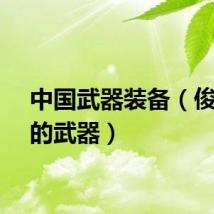中国武器装备（俊猴王的武器）