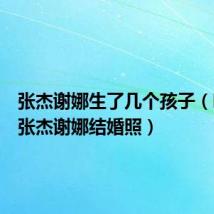 张杰谢娜生了几个孩子（哪儿有张杰谢娜结婚照）