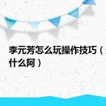 李元芳怎么玩操作技巧（元芳是什么阿）