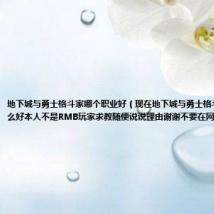 地下城与勇士格斗家哪个职业好(现在地下城与勇士格斗家到底转什么好本人不是RMB玩家求教随便说说理由谢谢不要在网上复制给我)