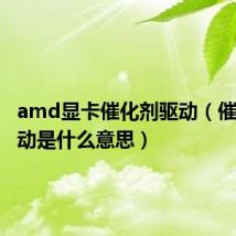amd显卡催化剂驱动（催化剂驱动是什么意思）