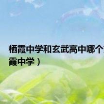 栖霞中学和玄武高中哪个好（栖霞中学）