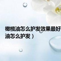 橄榄油怎么护发效果最好（橄榄油怎么护发）