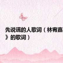 先说谎的人歌词（林宥嘉《说谎》的歌词）